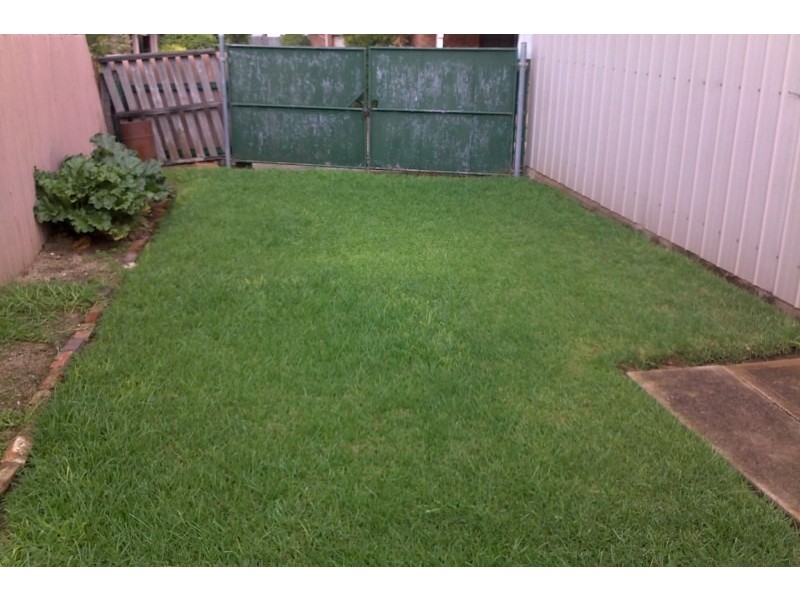 16 Clarke Street, Young NSW 2594