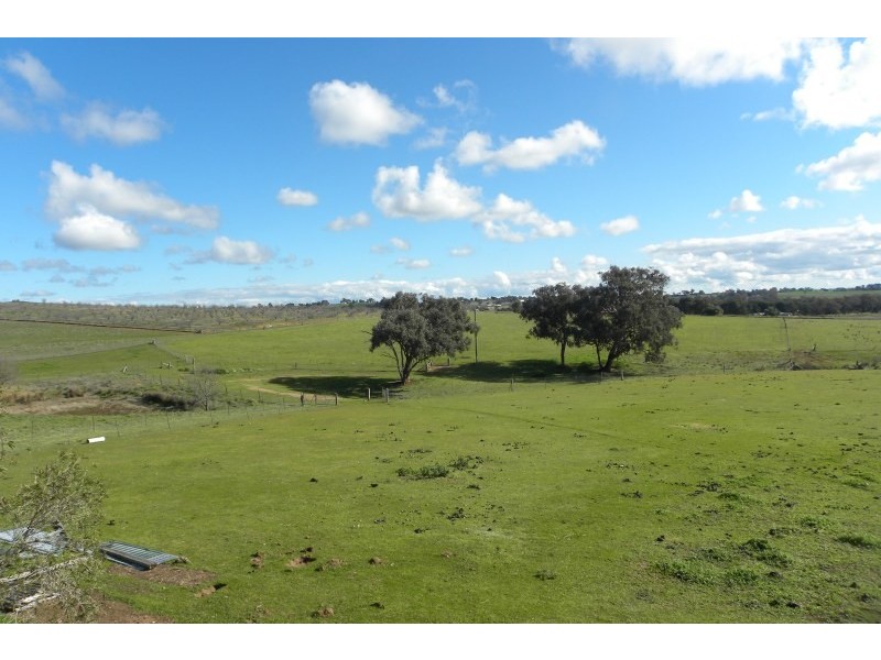 131 Jasprizza Lane, Young NSW 2594