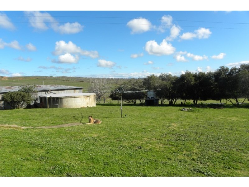 131 Jasprizza Lane, Young NSW 2594