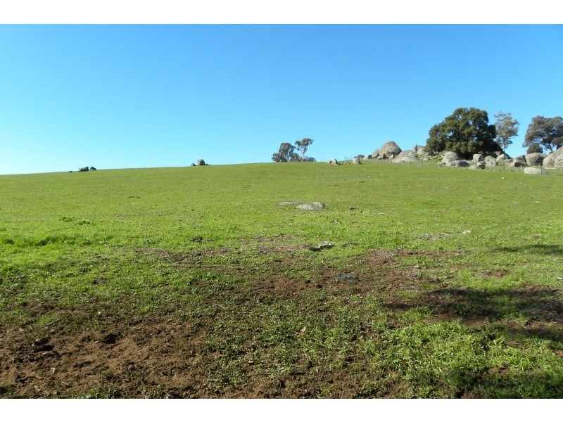 180 Woburn Road, Harden NSW 2587