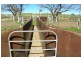 180 Woburn Road, Harden NSW 2587