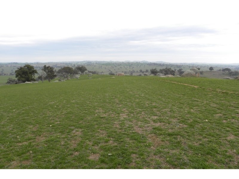 180 Woburn Road, Harden NSW 2587