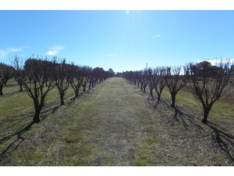 Lot 2,  Pine Road, Young NSW 2594