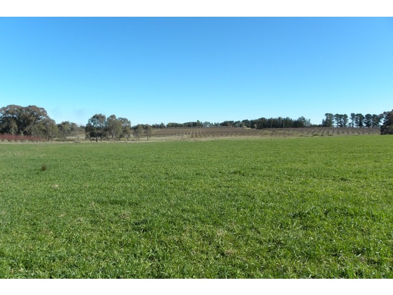 Lot 2,  Pine Road, Young NSW 2594