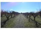 Lot 2,  Pine Road, Young NSW 2594