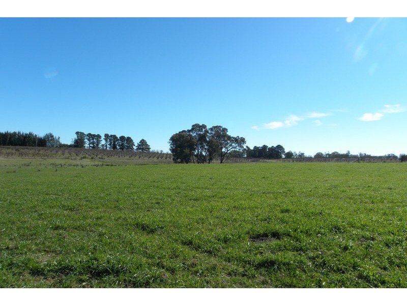 Lot 2 & 32 Pine Road, Young NSW 2594