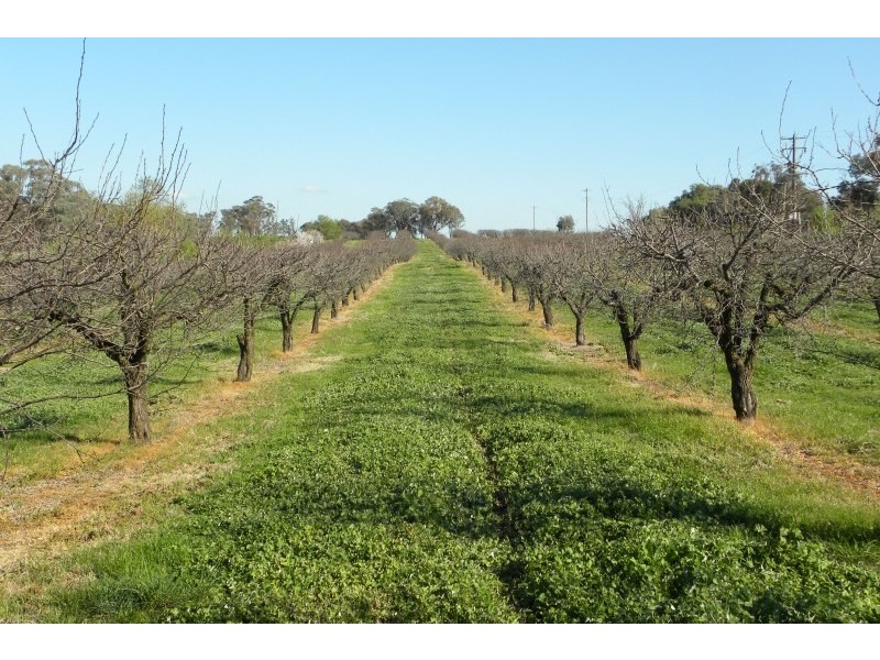 1 Kingsvale Road, Kingsvale NSW 2587