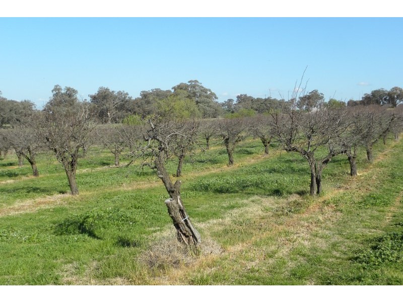 1 Kingsvale Road, Kingsvale NSW 2587