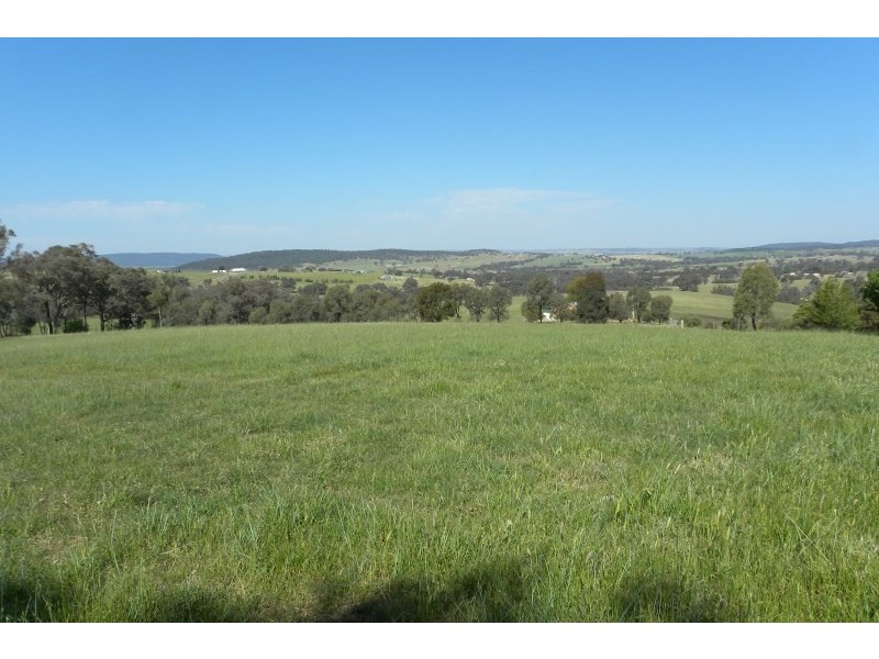 24 Heeleys Lane, Young NSW 2594