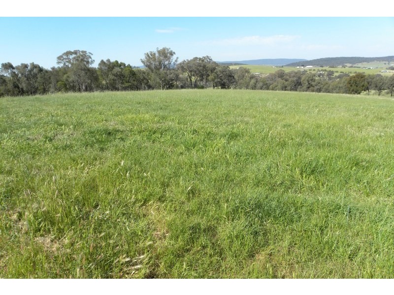 24 Heeleys Lane, Young NSW 2594