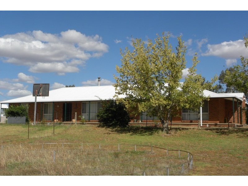 359 Back Creek Road, Young NSW 2594