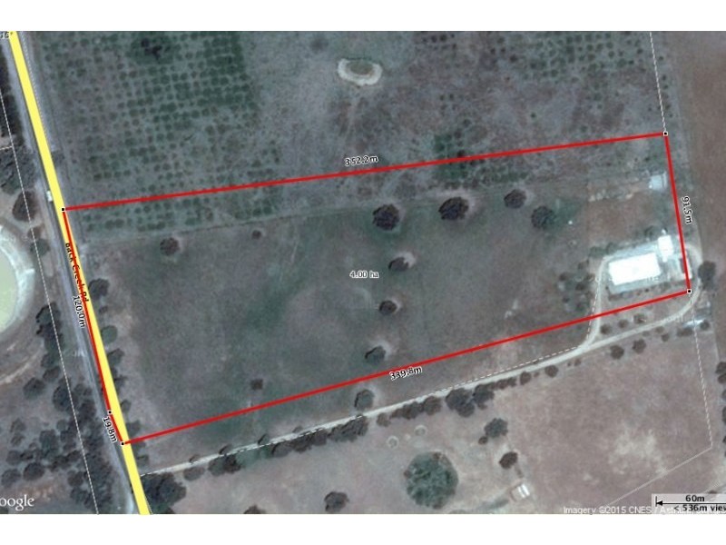 359 Back Creek Road, Young NSW 2594