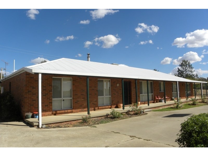 359 Back Creek Road, Young NSW 2594