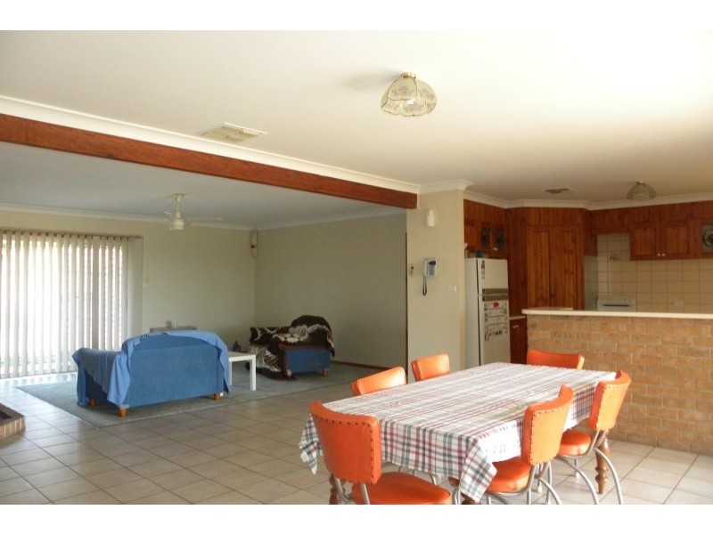 359 Back Creek Road, Young NSW 2594