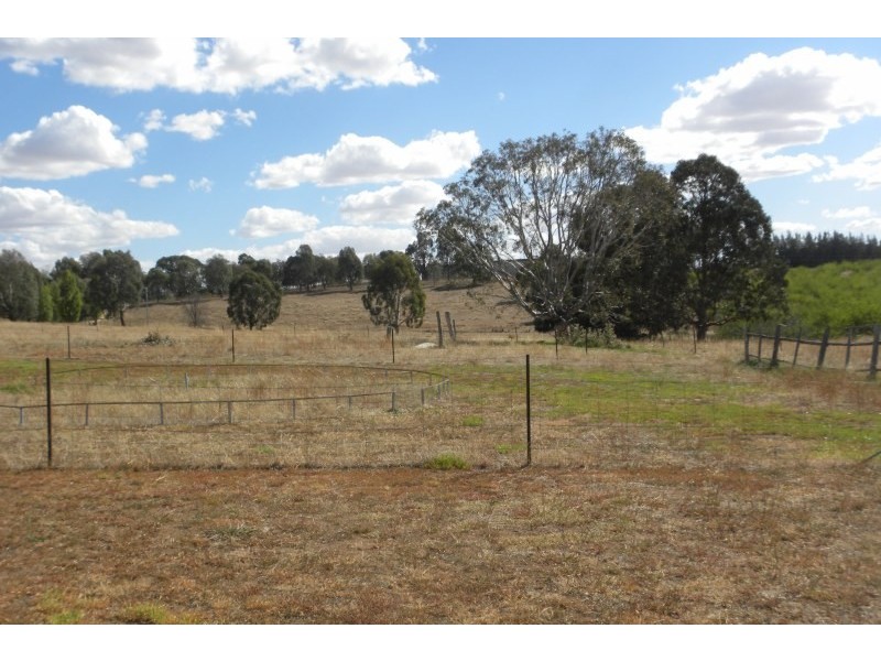 359 Back Creek Road, Young NSW 2594