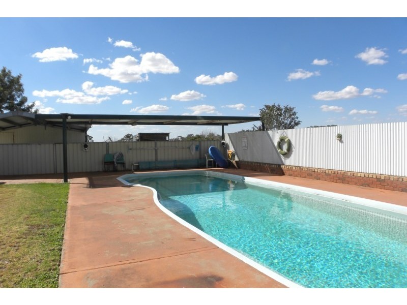 359 Back Creek Road, Young NSW 2594