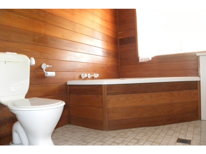 359 Back Creek Road, Young NSW 2594