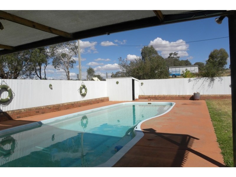 359 Back Creek Road, Young NSW 2594