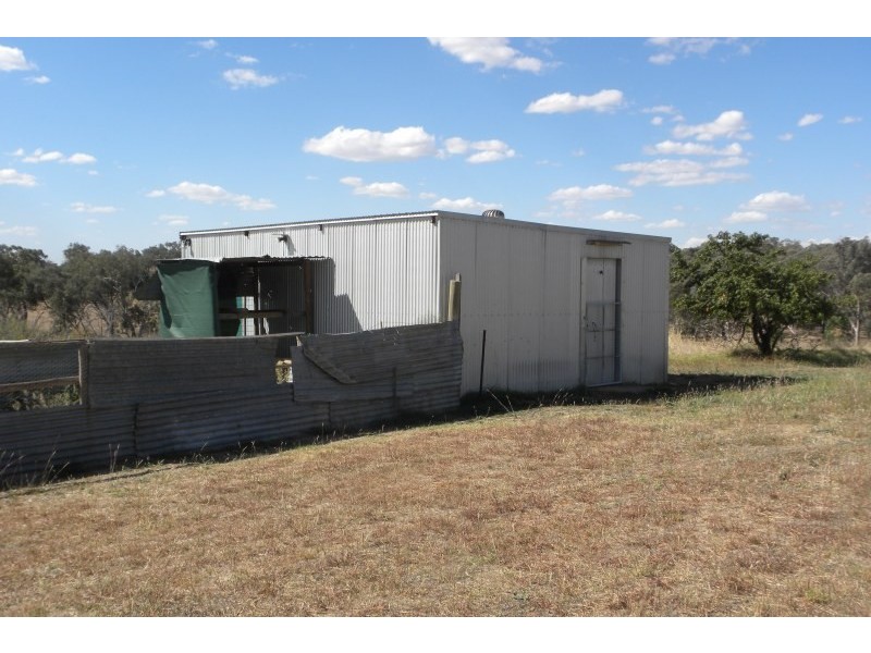 359 Back Creek Road, Young NSW 2594