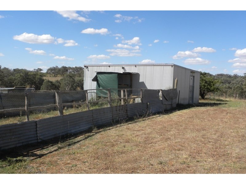 359 Back Creek Road, Young NSW 2594