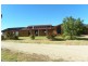 3313 Moppitty Road, Young NSW 2594