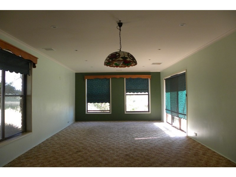 3313 Moppitty Road, Young NSW 2594