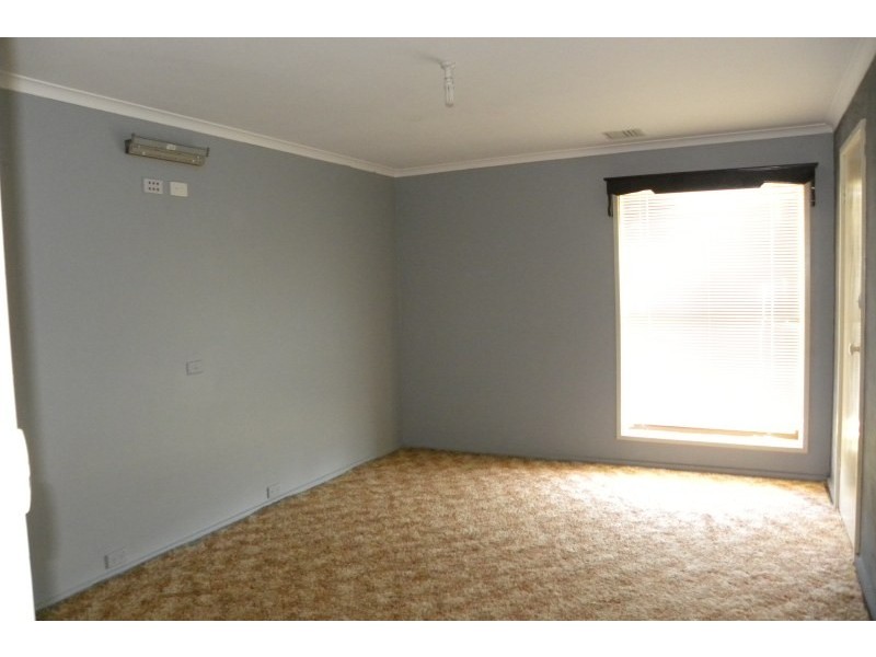 3313 Moppitty Road, Young NSW 2594