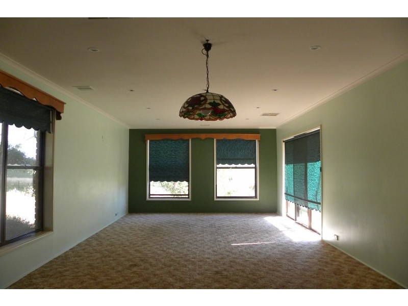 3313 Moppitty Road, Young NSW 2594