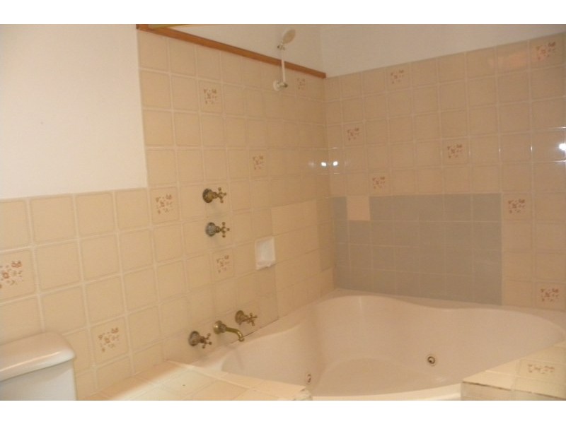 3313 Moppitty Road, Young NSW 2594