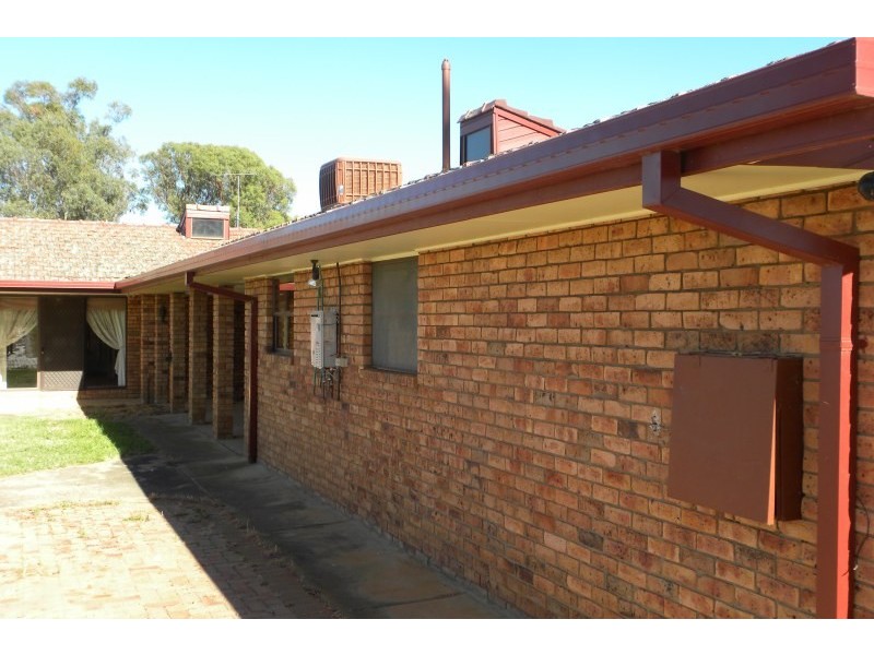 3313 Moppitty Road, Young NSW 2594