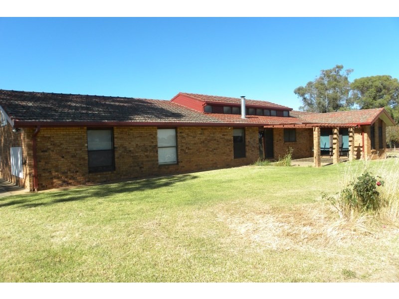 3313 Moppitty Road, Young NSW 2594