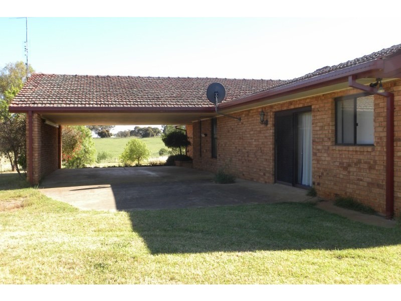 3313 Moppitty Road, Young NSW 2594