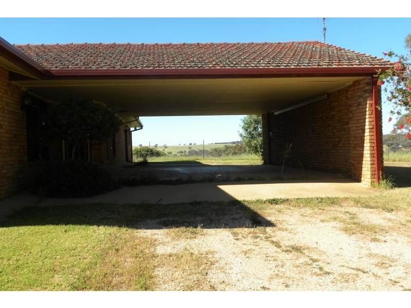 3313 Moppitty Road, Young NSW 2594