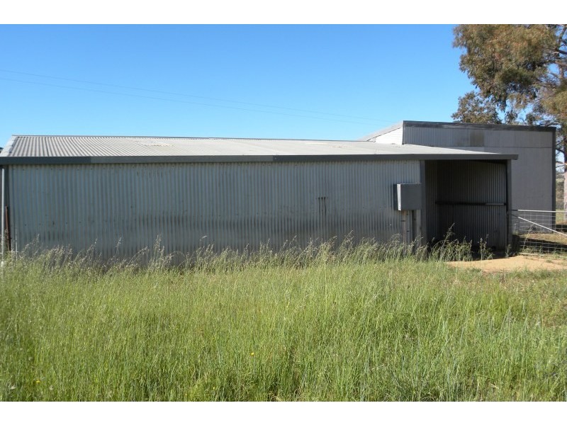3313 Moppitty Road, Young NSW 2594