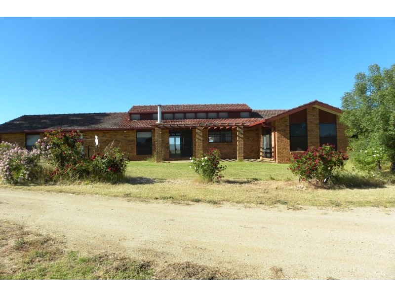 3313 Moppitty Road, Young NSW 2594