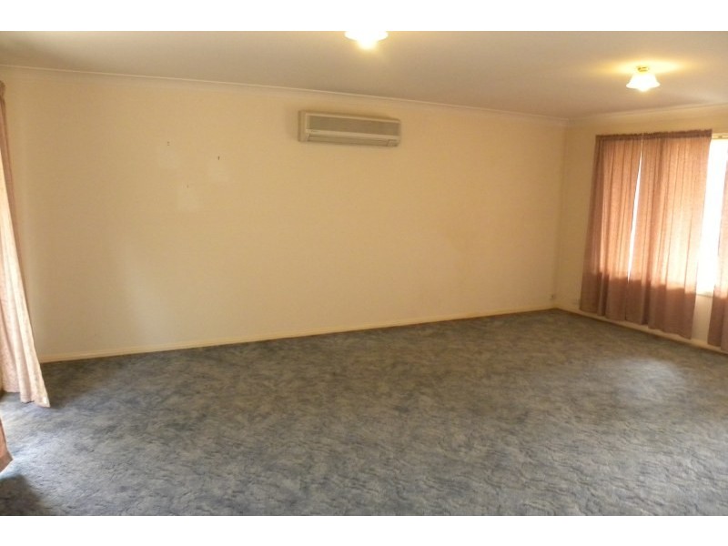 3 Petticoat Lane, Young NSW 2594