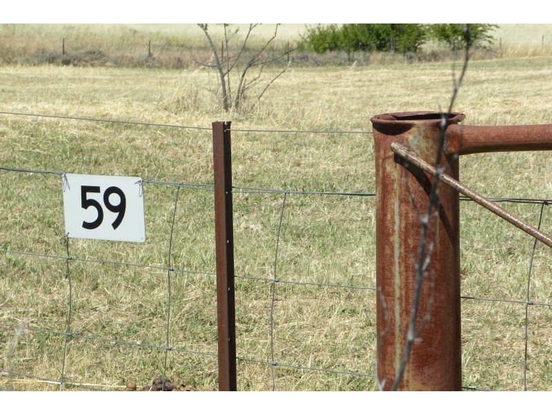 59 Cherry Vale Place, Young NSW 2594