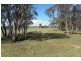 503 Wirrimah Road, Wirrimah NSW 2803