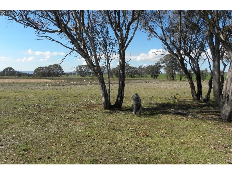 503 Wirrimah Road, Wirrimah NSW 2803