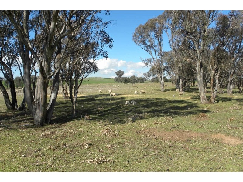 503 Wirrimah Road, Wirrimah NSW 2803