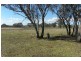 503 Wirrimah Road, Wirrimah NSW 2803