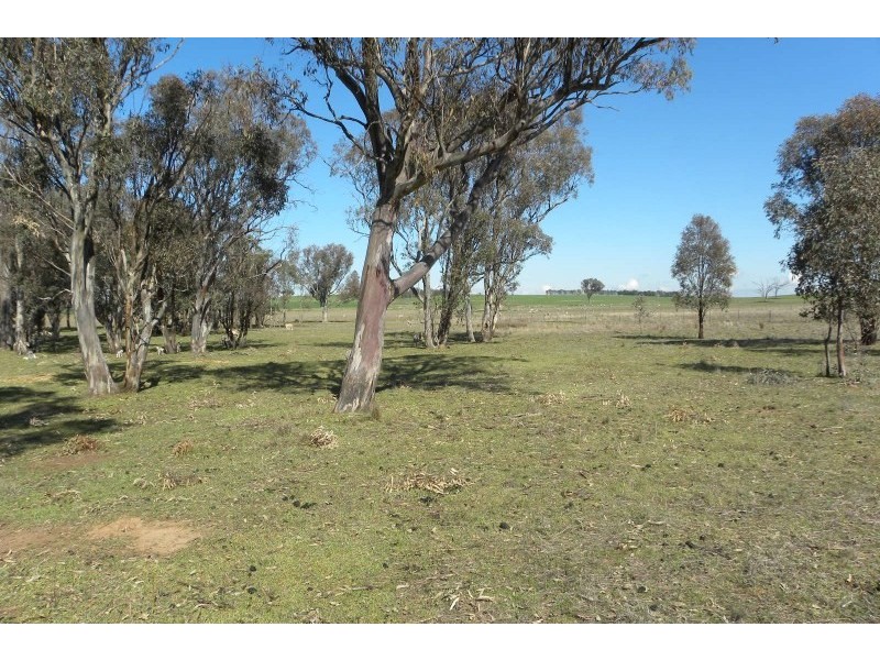 503 Wirrimah Road, Wirrimah NSW 2803
