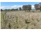 503 Wirrimah Road, Wirrimah NSW 2803