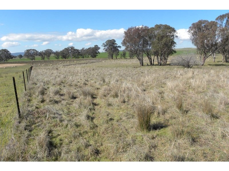 503 Wirrimah Road, Wirrimah NSW 2803