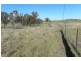 503 Wirrimah Road, Wirrimah NSW 2803