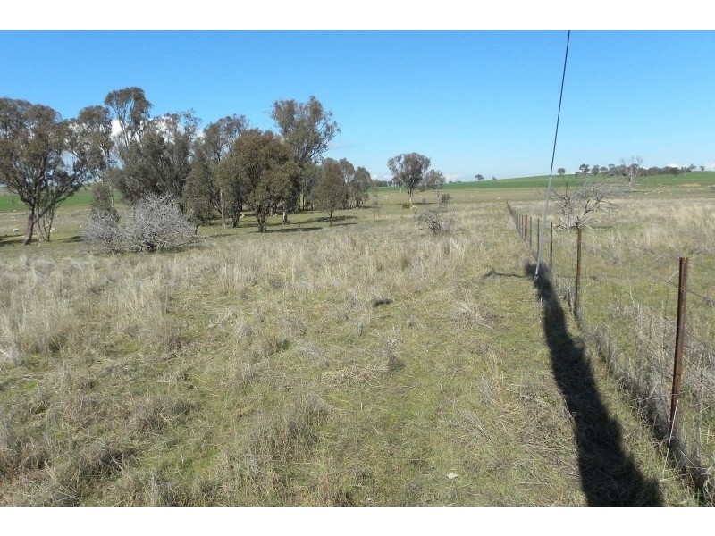 503 Wirrimah Road, Wirrimah NSW 2803