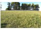 14 Giugni Place, Young NSW 2594
