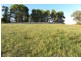 14 Giugni Place, Young NSW 2594