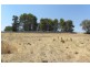 14 Giugni Place, Young NSW 2594