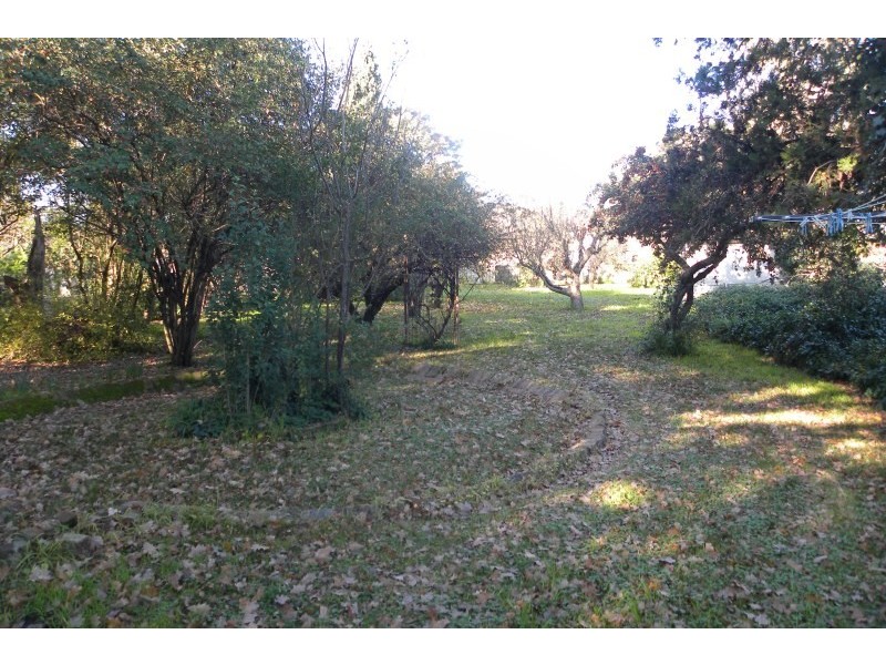 8 Russell Street, Young NSW 2594